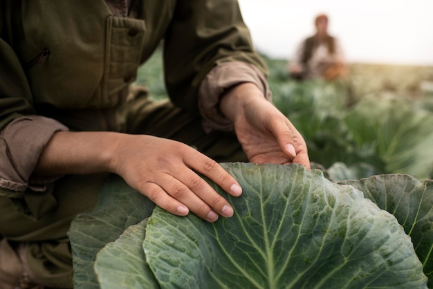 Photo gratuite mode de vie d'une personne respectueuse de l'environnement