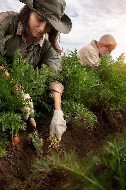 Mode de vie des personnes respectueuses de l'environnement