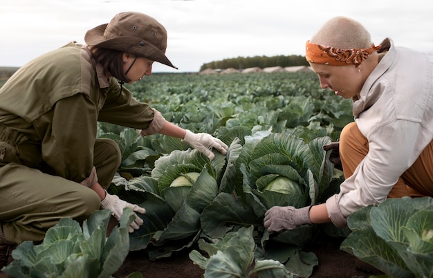 Mode de vie des personnes respectueuses de l'environnement