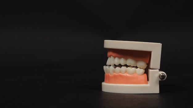 Modèle orthodontique des dents isolées sur fond noir. pour les soins dentaires et aucun peuple