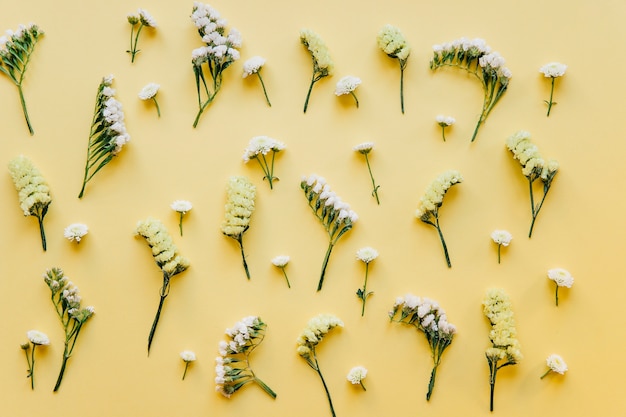 Modèle de petites fleurs douces