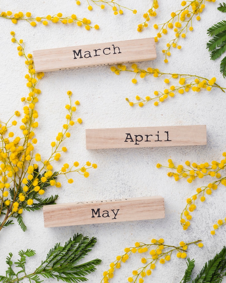 Photo gratuit mois de printemps avec des branches de fleurs