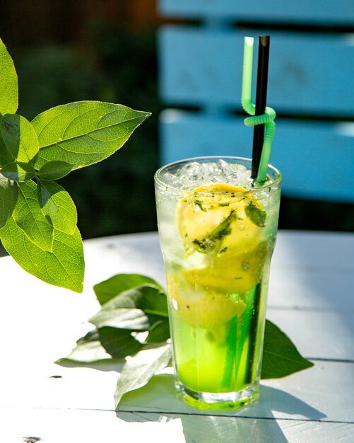 Mojito froid avec des tranches de citron et de feuilles de menthe