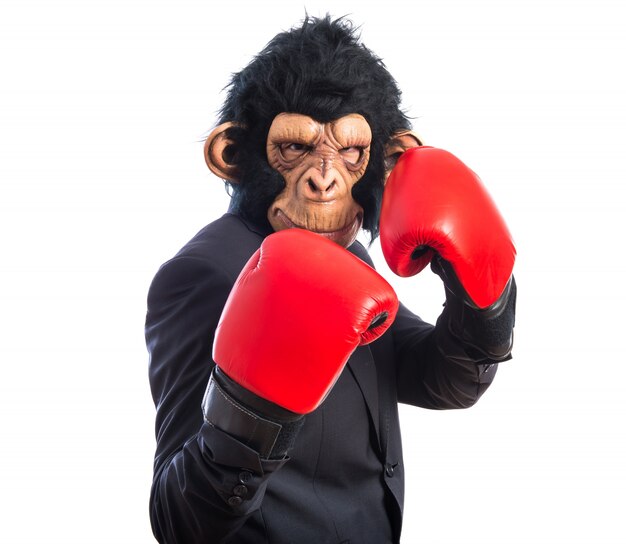 Monkey man avec des gants de boxe