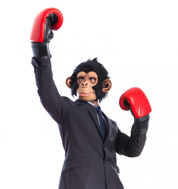 Monkey man avec des gants de boxe