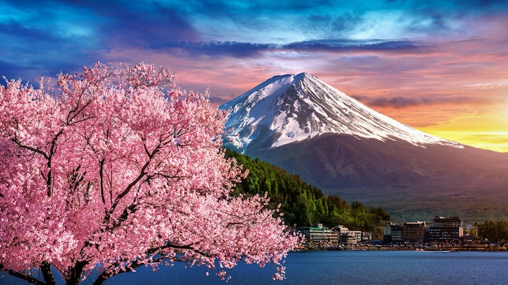 Photo gratuit mont fuji et cerisiers en fleurs au printemps, au japon.