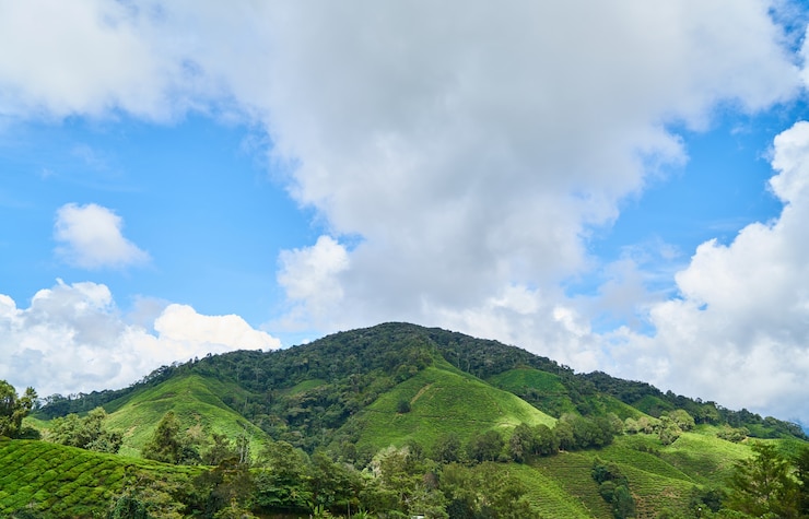Photo gratuit montagne avec des arbres et des arbustes et des nuages