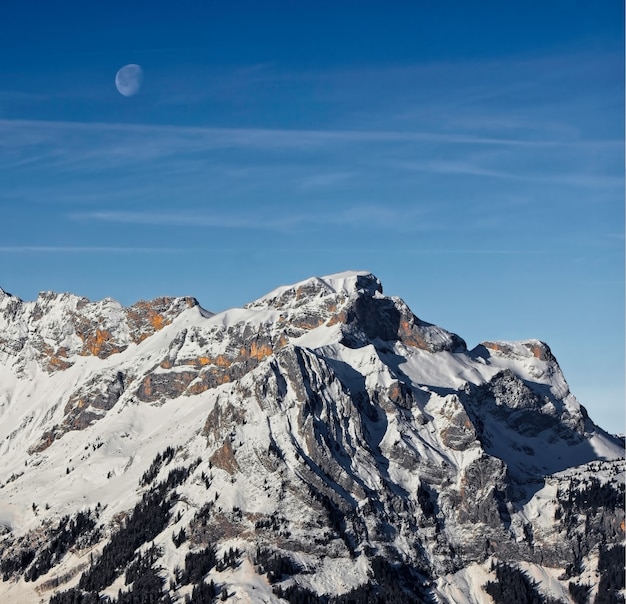 Photo gratuite montagne couverte de neige