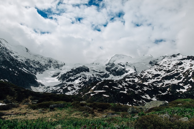 Montagne enneigée dans les Alpes suisses. Paysage d&#39;été