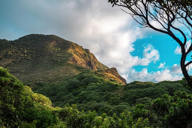 Photo gratuite la montagne hikurangi takatu head à piha