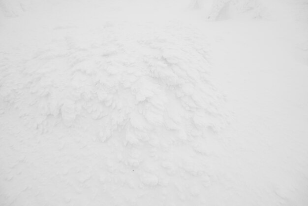 Montagne neige hiver monstre station