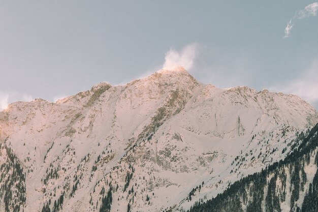 Montagne recouverte de paysage de neige