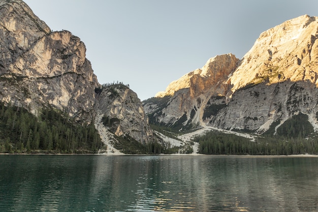 Montagne Rocheuse grise et forêt