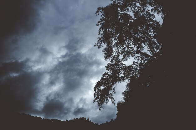 Montagne sombre avec des silhouettes d&#39;arbres poussant sur le bord