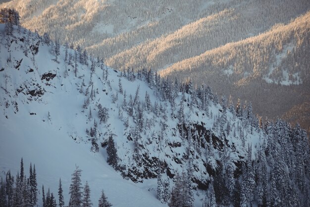 Montagnes couvertes de neige en hiver