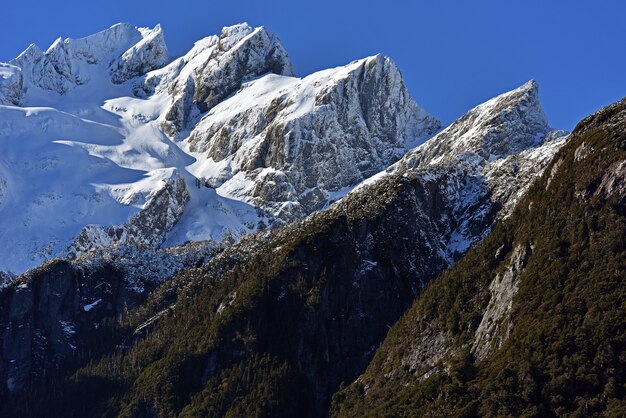 Montagnes et forêts pendant la journée