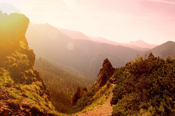 Photo gratuit montagnes en plein air de plantes vertes occidentales