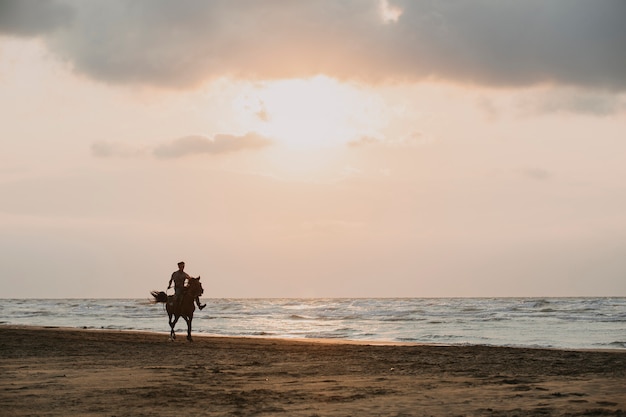 Monter à cheval sur la plage au coucher du soleil