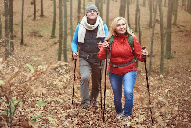 Monter sur la colline dans la forêt