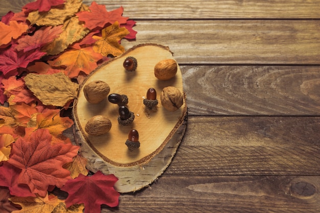 Photo gratuite morceau de bois avec des noix près des feuilles