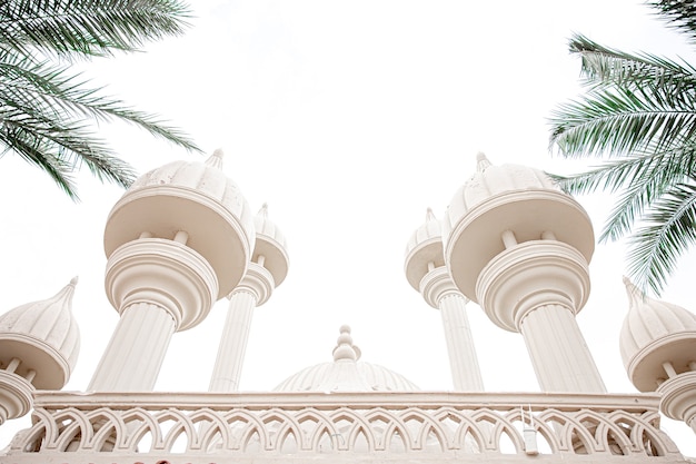 Mosquée islamique traditionnelle parmi les palmiers par temps ensoleillé.