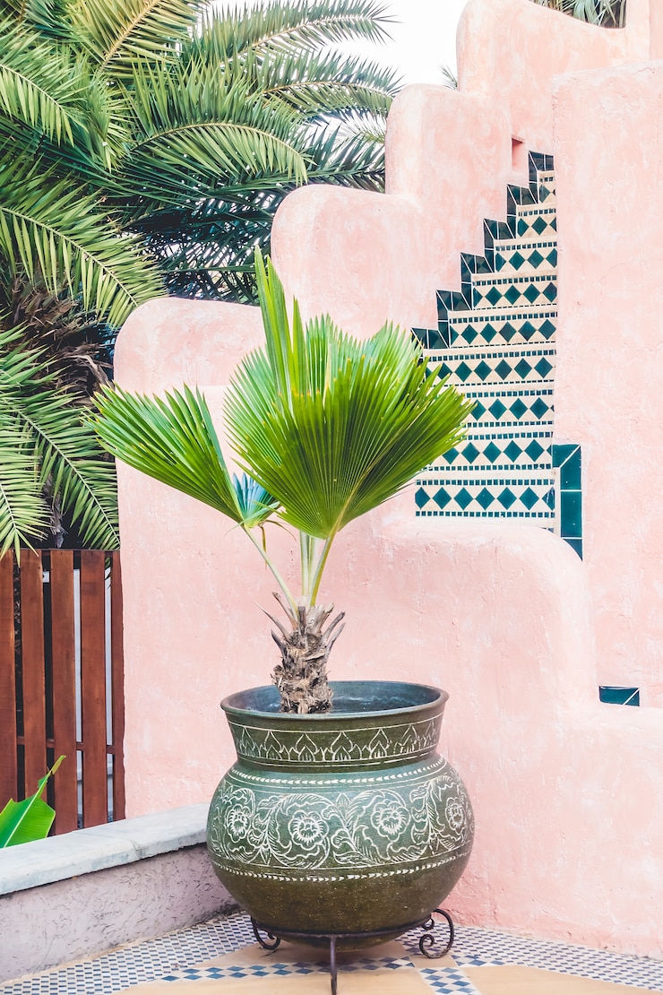 Photo gratuit mosquée moroccan cru mural décoratif