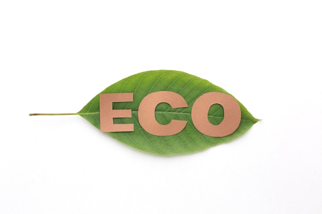 Mot Eco sur feuille