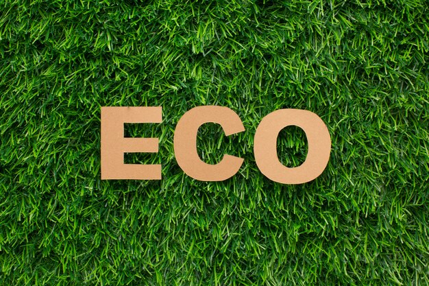 Mot Eco sur l'herbe