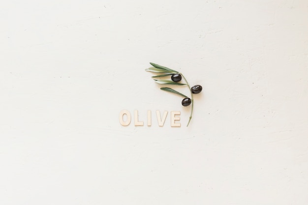 Photo gratuite mot d'olive avec branche