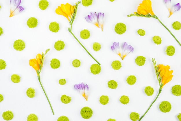 Motif décoratif de fleurs fraîches sur fond blanc