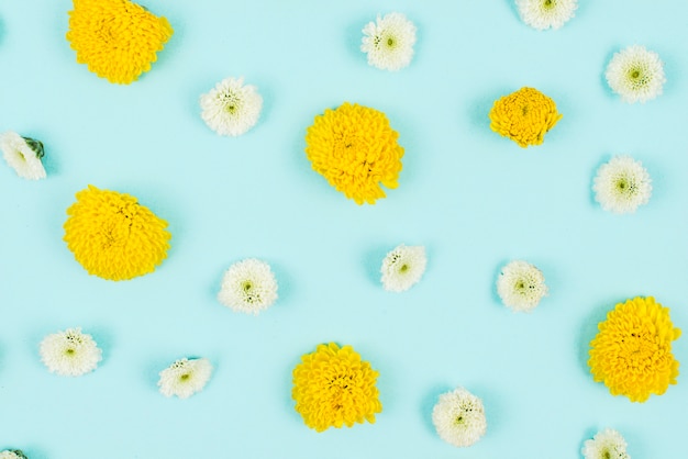 Photo gratuite motif de fleurs de chrysanthème sans soudure sur fond bleu