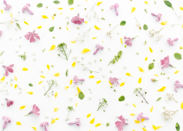 motif floral décoratif