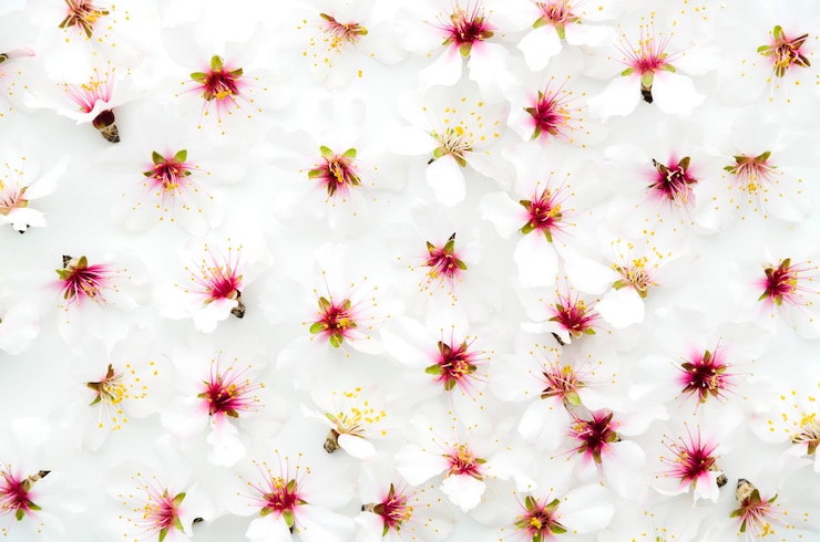 Photo gratuit motif floral décoratif