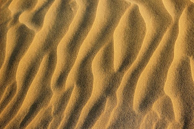 Motif de sable ondulé