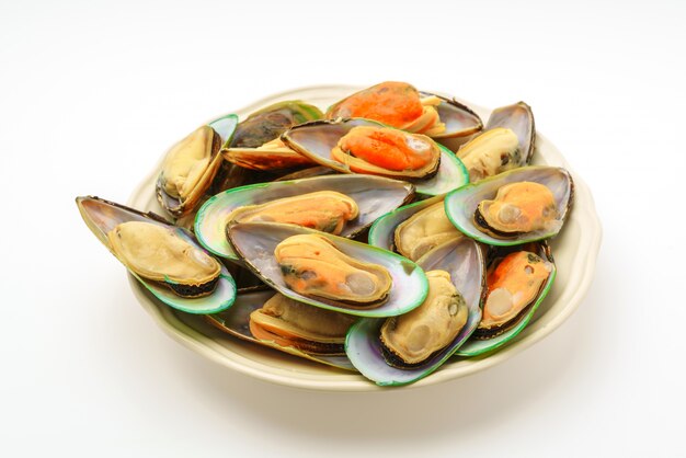 moules fraîches sur fond blanc.