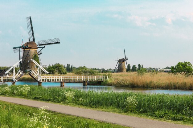 Moulins à vent hollandais traditionnels avec de l'herbe verte au premier plan, les Pays-Bas