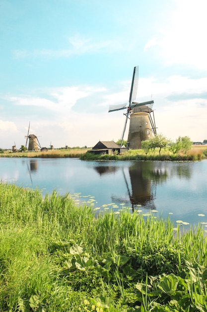 Moulins à vent hollandais traditionnels avec de l'herbe verte au premier plan