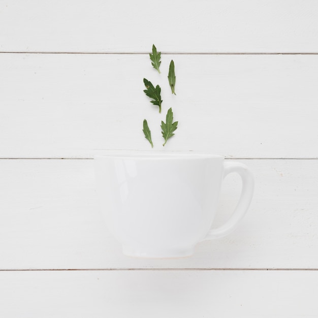 Mug vue de dessus avec feuilles