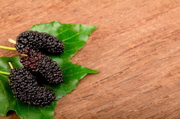 Photo gratuite mulberry et feuille sur le vieux bois