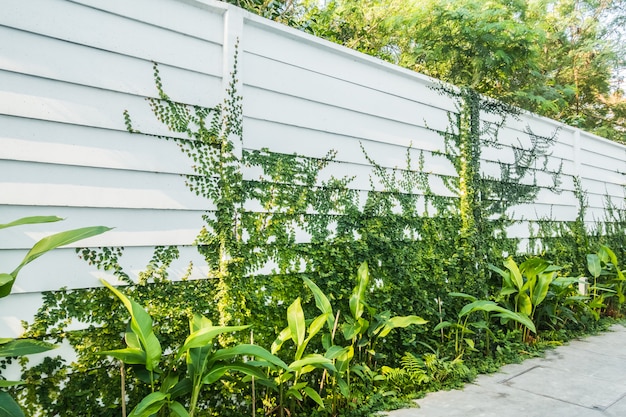 Mur blanc avec feuille d&#39;arbre sur le mur