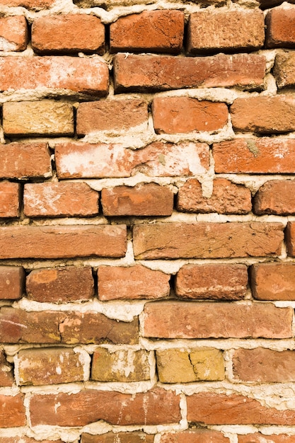 Mur de briques avec du béton
