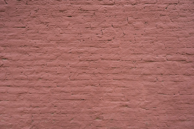 Mur de briques violettes