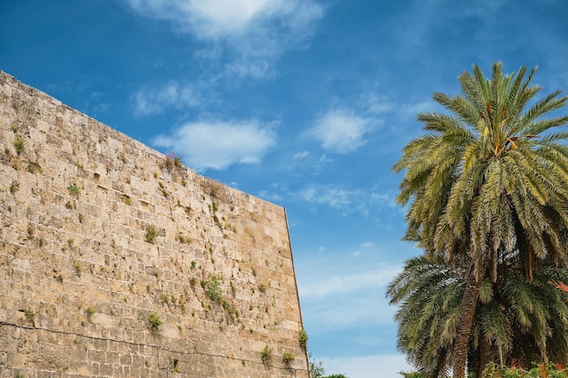 Photo gratuite mur de la forteresse et palmiers dans la rue dans l'ancien centre commercial de l'île de rhodes de rhodes les îles grecques de l'archipel du dodécanèse vacances en europe et destination touristique populaire