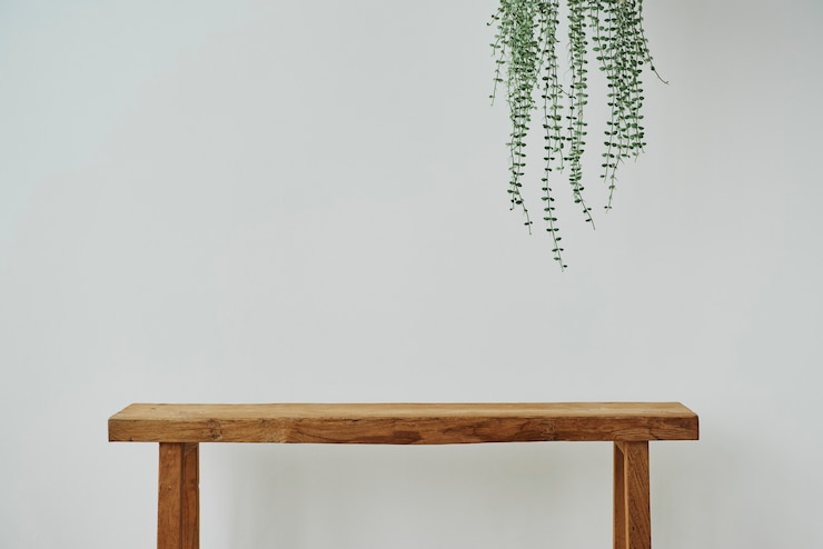 Photo gratuit mur minimal avec plante de vigne ange et banc en bois