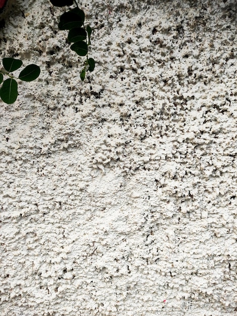 Photo gratuite mur texture brique ciment fond