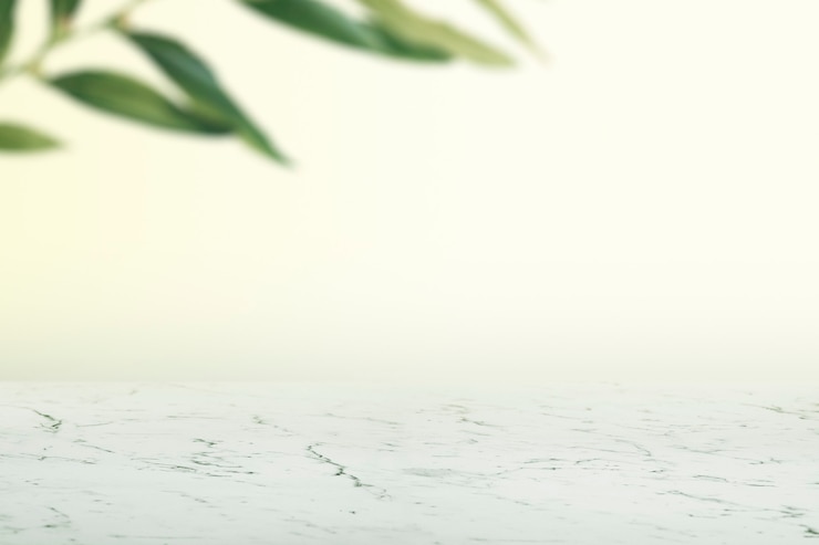 Photo gratuit mur uni avec des feuilles et fond de produit de sol en marbre blanc