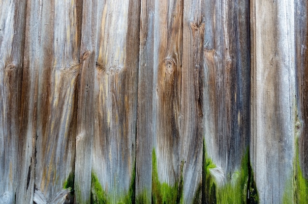 Mural en bois