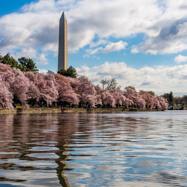 National Mall entouré d'arbres et d'un lac sous le ciel nuageux à Washington DC