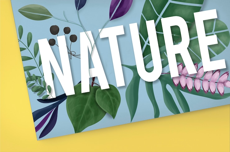 Photo gratuit nature environnement terre verte croissance concept naturel