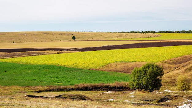 Nature de la Moldavie, champs semés avec diverses cultures agricoles